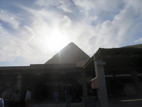 R_10891724_771162842933704_1723277649284079877_n.jpg