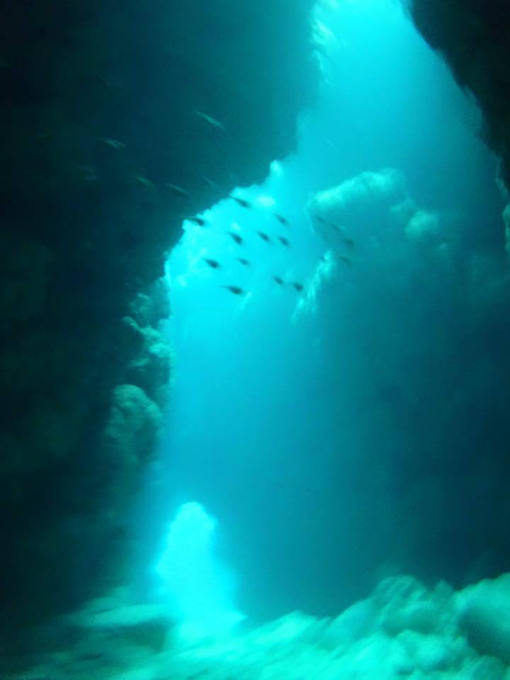 11351202_832641740119147_5453383746687515874_n.jpg