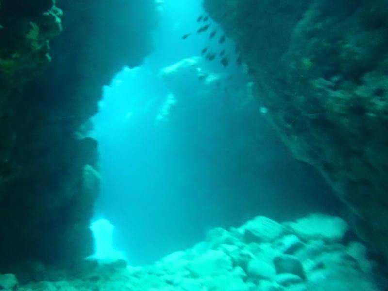 1610927_832642130119108_6839263729106408958_n.jpg